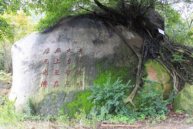 风评被害是什么意思，新宝岛风评被害是什么梗（摩尼教在中国是如何一步步“风评被害”的）