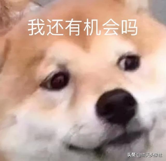 表情包啊啊啊，微信头像，表情包啊啊啊（表情包 ， 女孩就要酷一点）