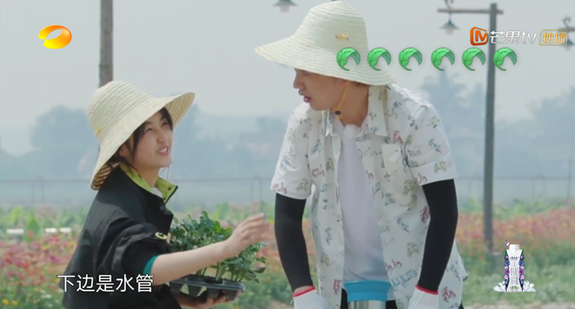 向往的生活开局推到张子枫，张子枫是谁推荐到向往的生活（《向往的生活4》张子枫被疑社恐）