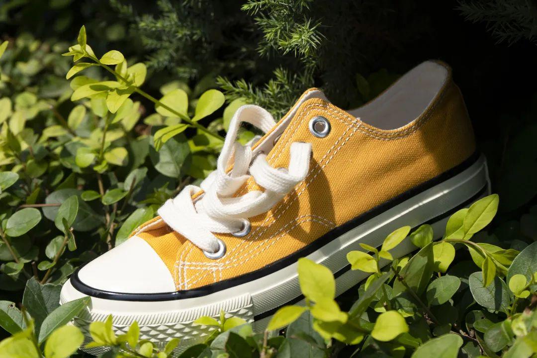 海波丽是什么材料，海波丽是海绵吗（源自1916年的经典国货）