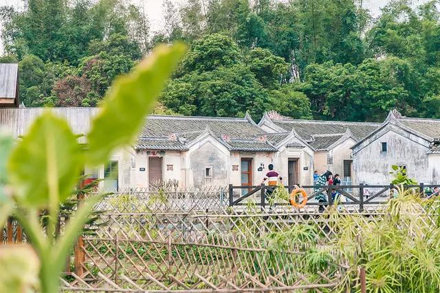 观澜属于深圳哪个区,观澜属于深圳哪个区地图(观澜,景美人少) 观澜属于深圳哪个区,观澜属于深圳哪个区地图(观澜,景美人少)