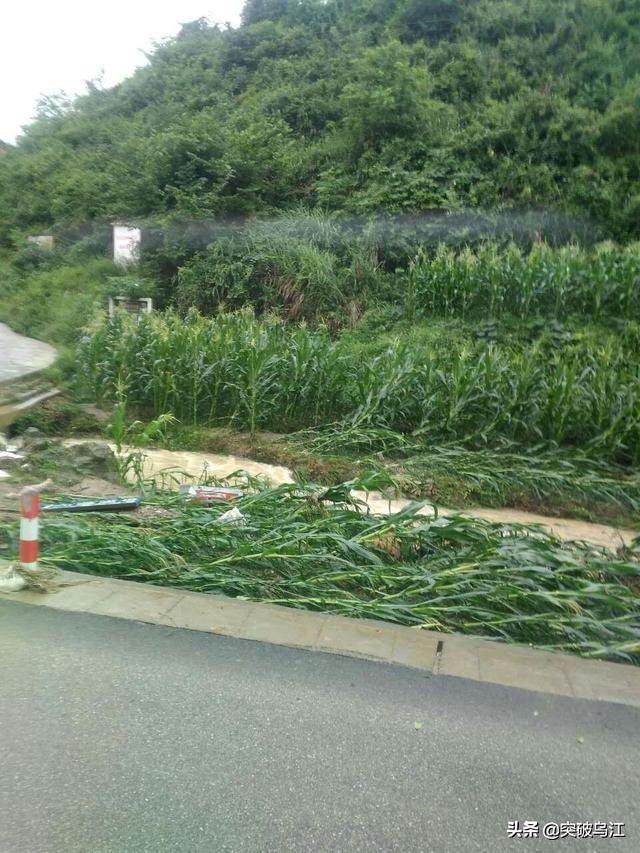 水是生命的源泉，为什么水是生命之源（是人类生命的源泉）