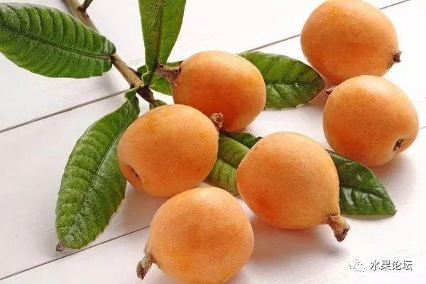 榴莲成熟的季节是几月，榴莲季节是哪几个月（夏季到冬季的水果成熟表来了）