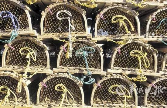 秘鲁渔场位置，秘鲁渔场形成原因是寒暖流交汇吗（是什么让世界超级大渔场变得死寂）