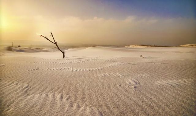 梦见舌头掉了的意思，做梦梦到自己舌头掉了是什么意思（预示身体5大问题）