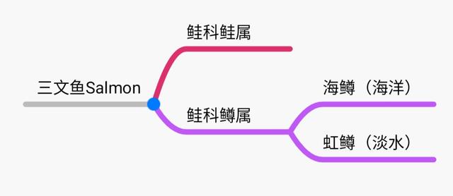 鲑鱼是三文鱼吗，红点鲑鱼是三文鱼吗（鲑鱼是一家亲吗）