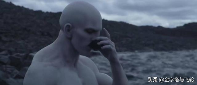 三生万物的真正含义，自然界运转的规则及其感悟