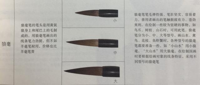 毛笔分为哪几类,毛笔分为哪几类类型(如何区分毛笔及其用途)