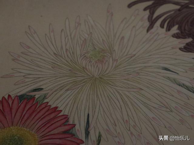 葩的读音（葩怎么读，葩是什么意思（金佛座、搓粉妆、绶带紫、鹤头丹）