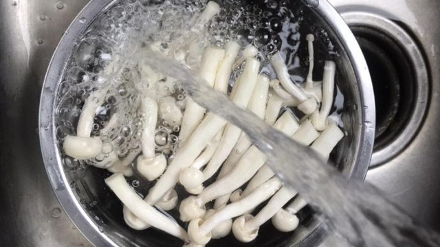 白玉菇不焯水有毒吗，白玉菇做汤用焯水吗（白玉菇这样做太美味了）