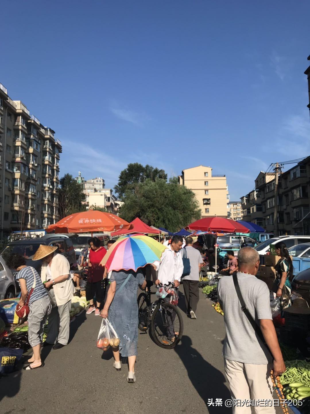 上北阳光灿烂的日子，阳光灿烂的日子里全集播放（屯粮积草开始了）