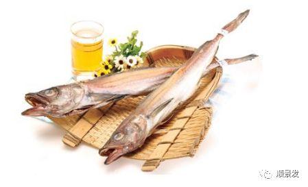 世界上有哪些渔场，世界上有几个渔场（天下“渔仓”——走进世界四大渔场）