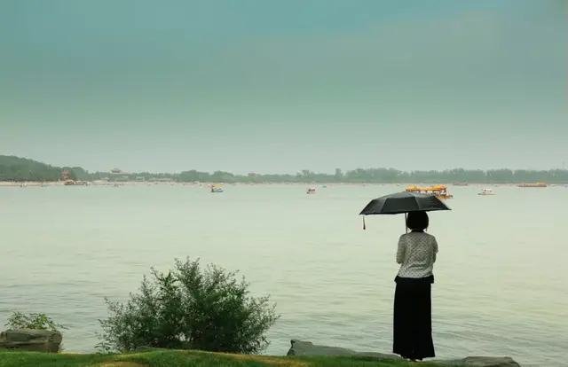 诗歌大全100首，诗歌大全100首 小学生四年级（每首不足100字）