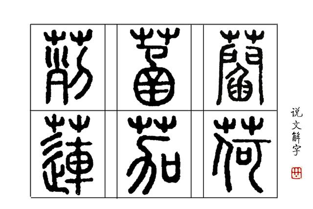 菡萏的意思(荷叶母亲中菡萏的意思)