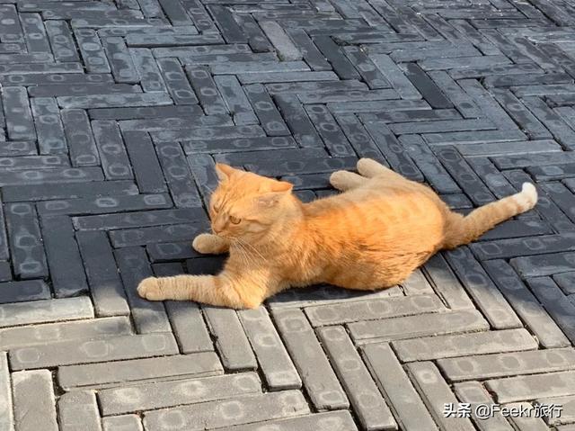 大栅栏有什么好玩的，大栅栏有什么好吃好玩的（来这些藏身胡同里的好去处一探究竟）