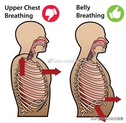 横膈膜呼吸法，对核心稳定性和颈肩痛有什么影响（横膈膜呼吸法有什么用）