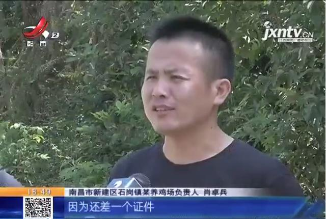 养鸡场投资多少钱，养1000只鸡需投资多少（男子投资200万元的养鸡场）