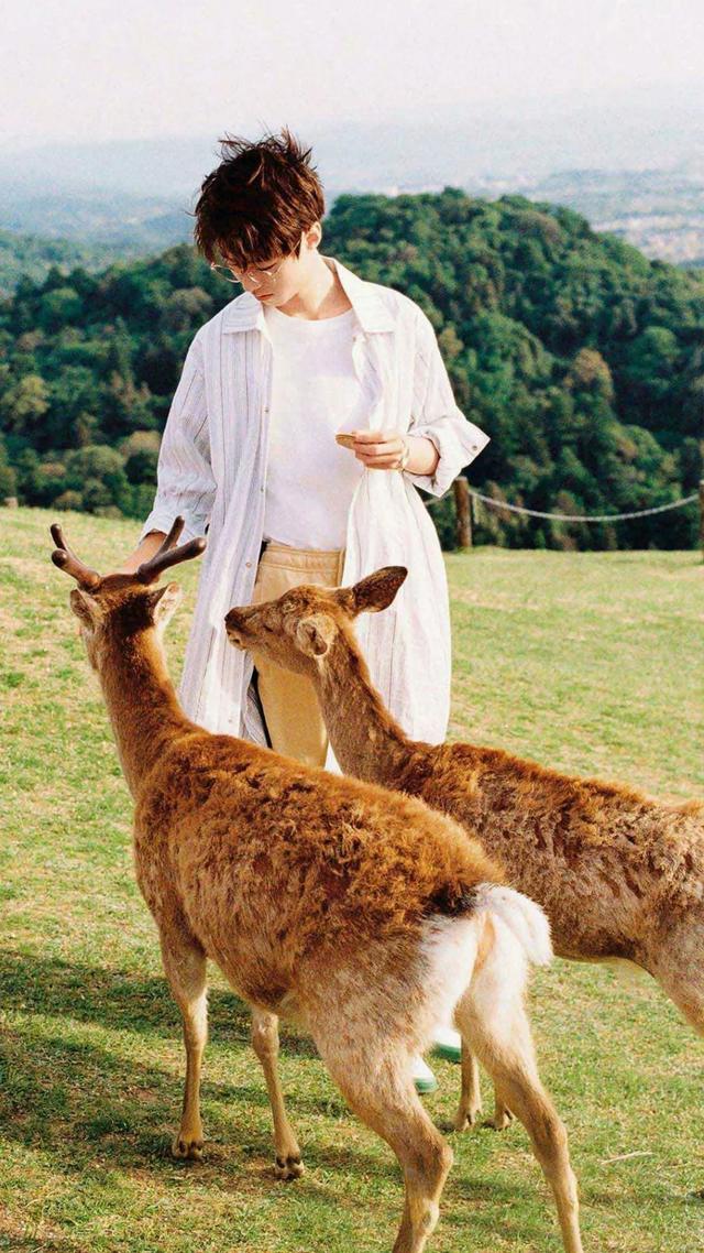 王俊凯高清壁纸，王俊凯高清壁纸图片（珍藏高清：你们要的王俊凯壁纸）