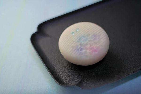 日本和果子的制作方法，日本食玩果子制作视频（日本匠人做出这么美的“和果子”）