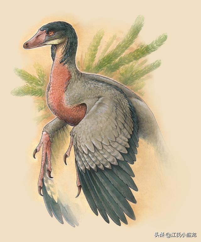 re网名的含义，Re微信昵称（2020古生物学家到底命名了多少种恐龙）