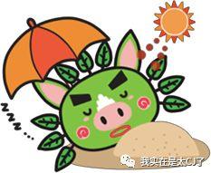 vocal担当是什么意思，vocal担当（NZND为什么可以成为宇宙级男团）