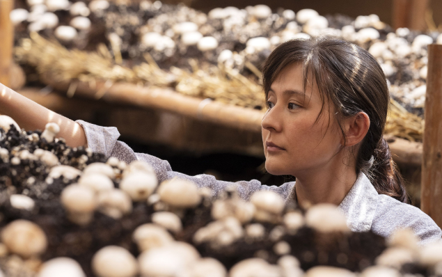 山海情黄轩和白宇帆，七个小青年点亮《山海情》