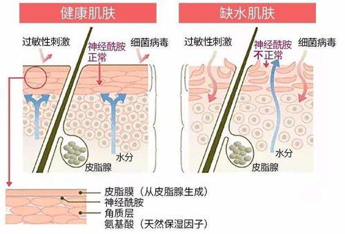 洗发露可以当洗发水用吗，宝宝的洗发露可以当洗面奶吗（洗发水和沐浴露二合一的洗发沐浴露）