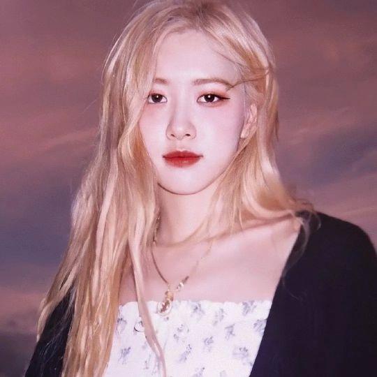 /江樱/ 澳洲野玫瑰朴彩英头像1弹微信，/江樱/ 澳洲野玫瑰朴彩英头像1弹（Rose头像壁纸澳洲野玫瑰）