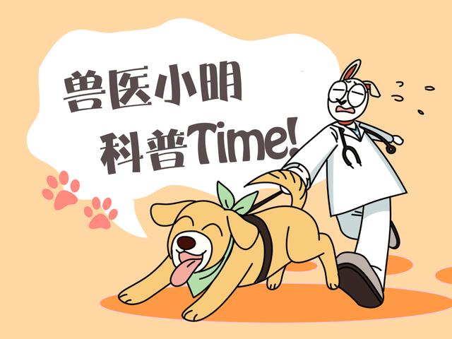 孔雀吃什么食物，孔雀吃什么食物为主（车停在路边吸引了孔雀）