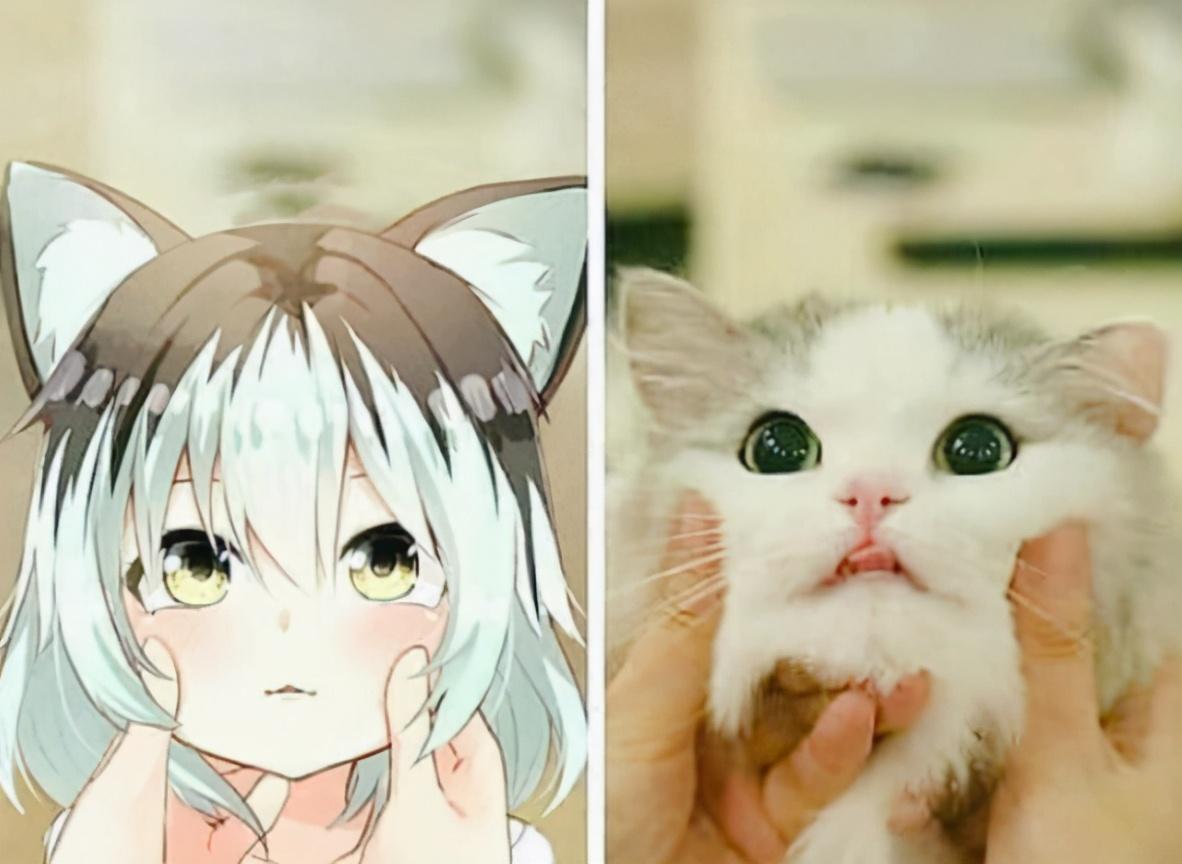 这只小奶猫脸蛋圆圆的,看起来十分可爱,拟人化变成萌妹子之后,这小