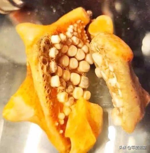 暖手宝里面是什么，暖手宝是什么成分（“网友什么都知道系列”）