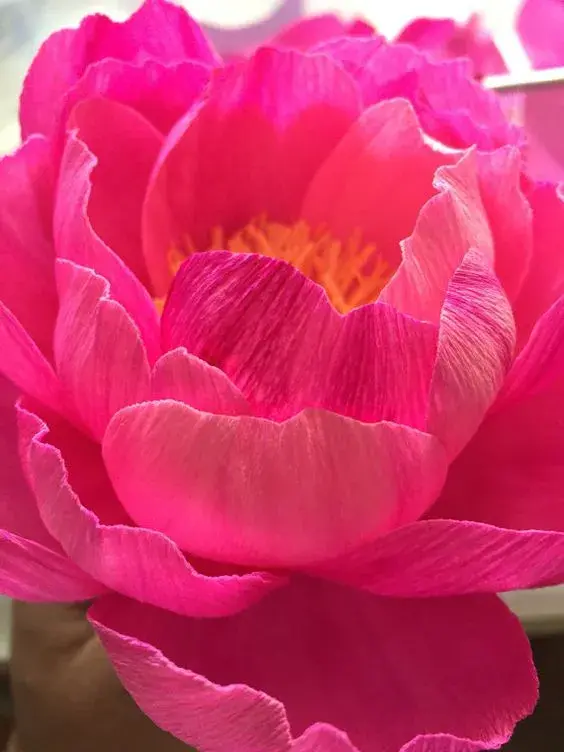 手工花朵制作方法，彩纸手工制作花朵的方法（喜欢花哪儿还用买）