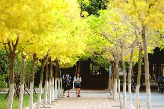 哈工大一校区图书馆几点开门，哈工大二校区图书馆开放时间（哈尔滨工业大学威海校区）