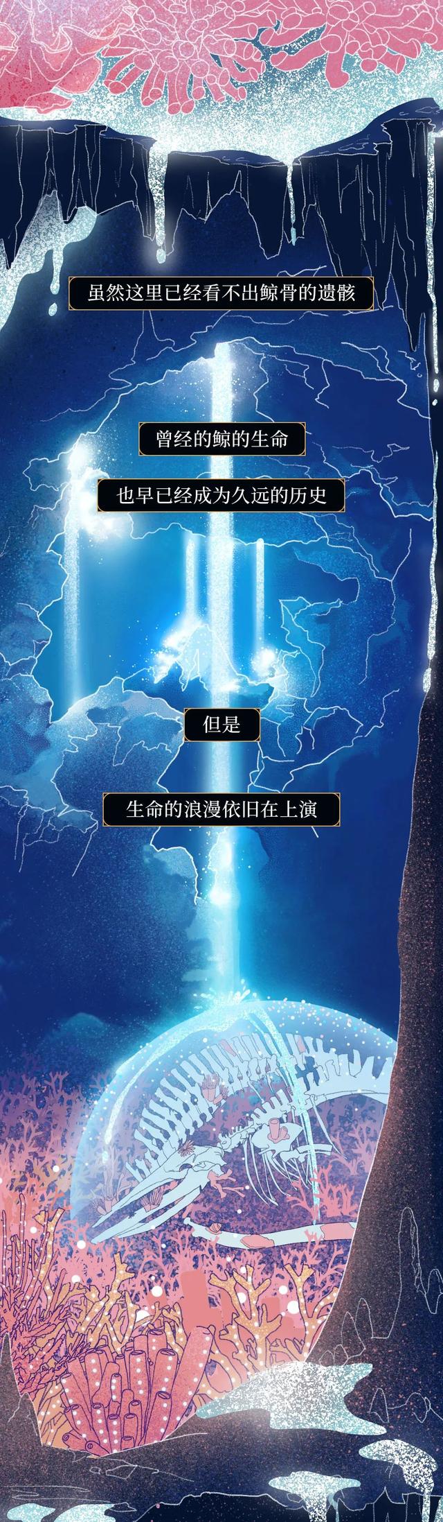 一鲸落万物生什么意思，万物生是什么意思（深入解析什么是“一鲸落）