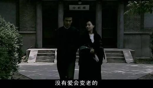 伏尔加的鱼是什么鱼，一条伏尔加鱼的悲剧之路