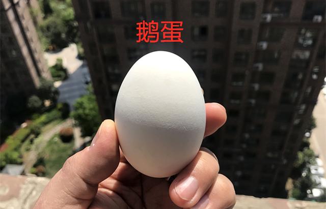 鹅蛋和鸡蛋有什么区别和好处，鸡蛋和鹅蛋的营养价值有什么不同（鸡蛋、鸭蛋和鹅蛋的营养有什么区别）