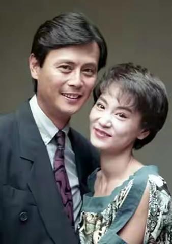 刘德凯和刘雪华，刘雪华电视剧大全集（刘德凯就这样改写了刘雪华的结局）