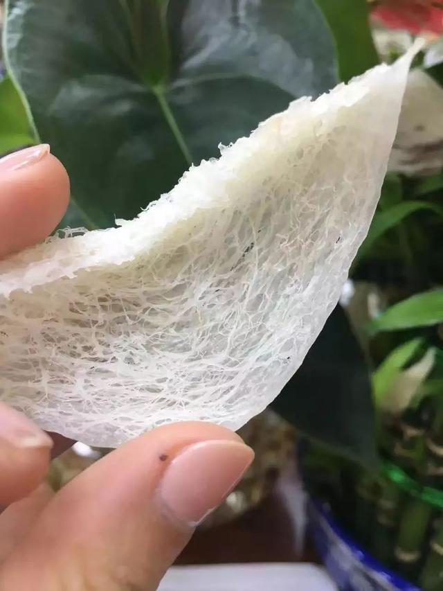 燕窝保质期是多少时间，燕窝多长时间保质期（如何判断燕窝是否过期）