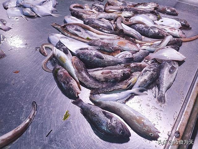 鱼杀了放冷冻还是冷藏，鱼放冷藏室还是冷冻室啊（卖鱼人三十年的老经验8个方法）