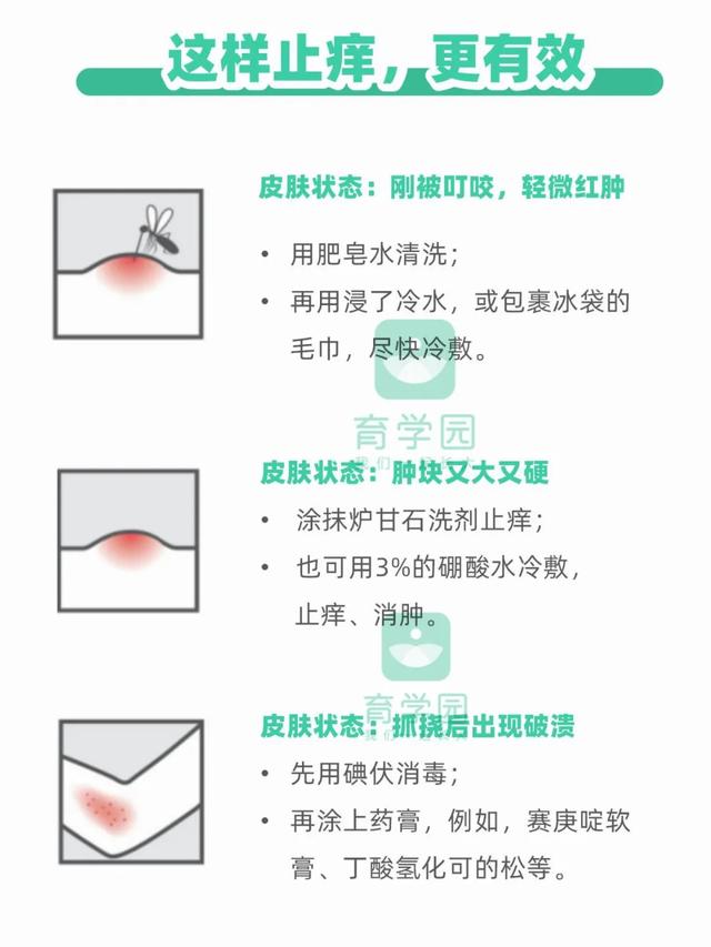 家有宝宝怎么驱蚊，家有宝宝驱蚊小妙招（真正有效的方法，只有这几种）