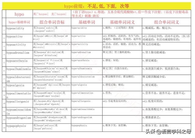 国民homo什么意思，homolive什么梗（总结了367个以hyper、240个以hypo前缀、106个以homo前缀的单词）