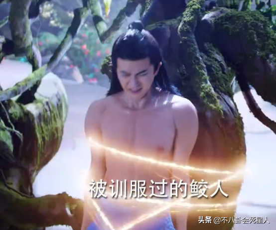 美人鱼演员名单，美人鱼演员表（什么叫媚而不俗的人鱼）