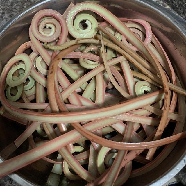 新鲜蕨菜怎么处理才能吃，新鲜的蕨菜怎么吃（春天随处可见的蕨菜）