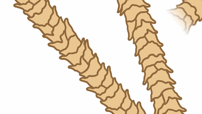 羊绒羊毛衫用什么洗最好，羊绒衫羊毛衫用什么洗好（秋冬毛衣/羊毛/羊绒衫起球、扎人怎么办）