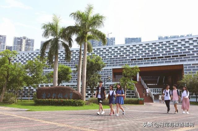 软科是什么意思，软科是指什么（靠谱些）