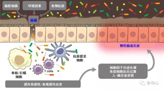 sfb是什么意思，sfnb是什么意思（你必须知道的热知识<二>）