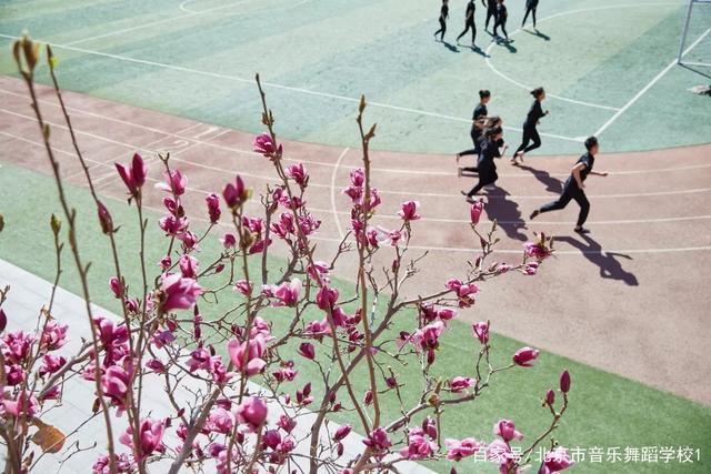 北京市音乐舞蹈学校怎么样，2020北京舞蹈学院怎么样（北京市音乐舞蹈学校招生简章2020年）