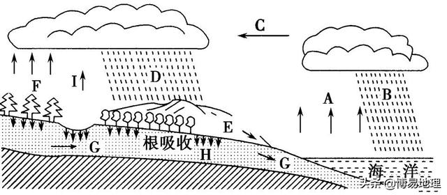 水循环的影响因素有（高考地理微专题：水循环）