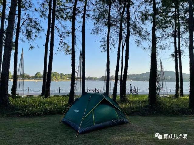 月湖雕塑公园攻略，上海怎么旅游省钱（月湖雕塑公园-面积大人不多除了贵和远其他都很好）