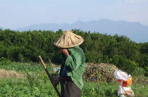 梦见褥子的征兆，梦见褥子是什么意思 新闻（乡土散文：托梦）